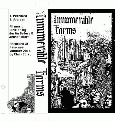 Innumerable Forms : Promo 2016